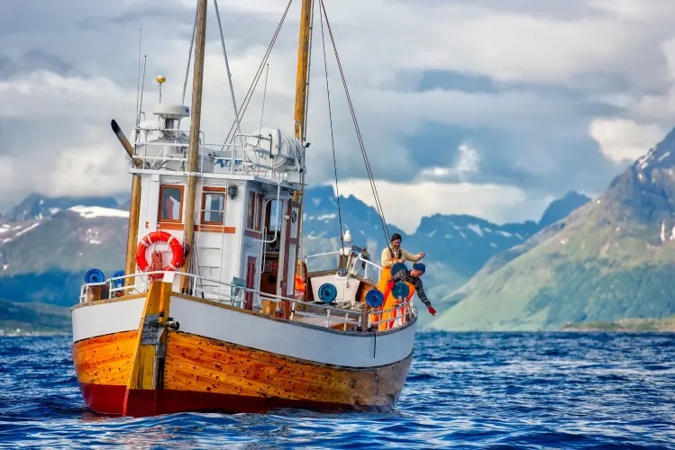 HURTIGRUTEN CRUCEROS FIORDOS NORUEGOS TROLLFJORD NORWAY CRUISES HURTIGRUTEN #Hurtigruten #NorwayFjords #FiordosNoruegos #Lofoten